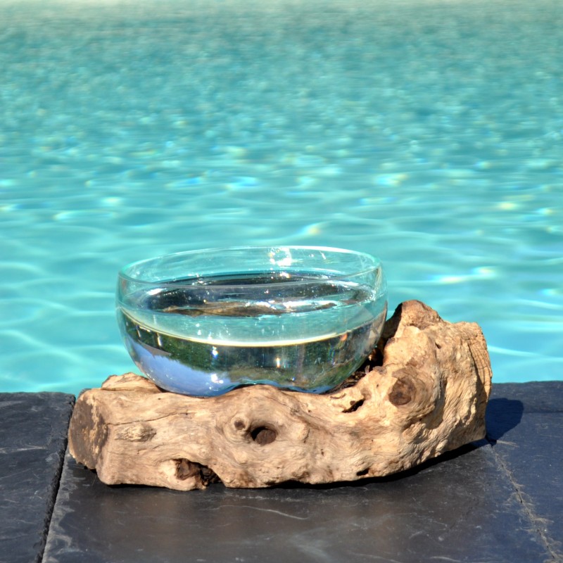 Un terrarium, saladier ou gros ramequin en verre recyclé soufflé et moulé en fusion sur du bois flotté.