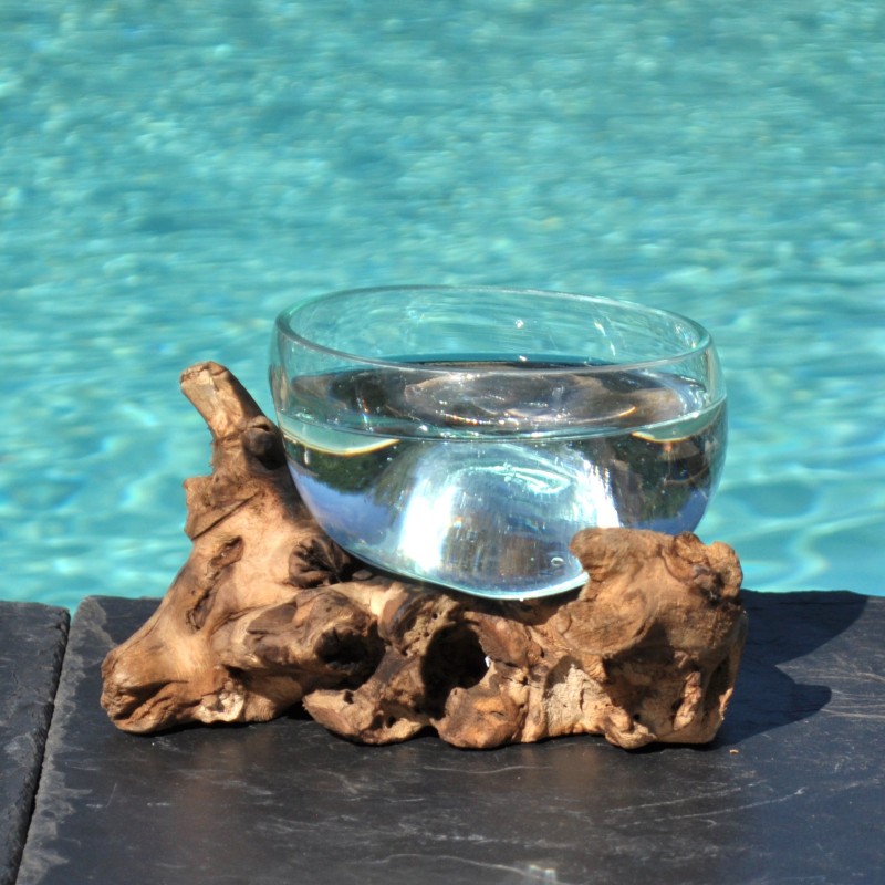 Terrarium ou bol à punch en verre recyclé soufflé sur du bois flotté