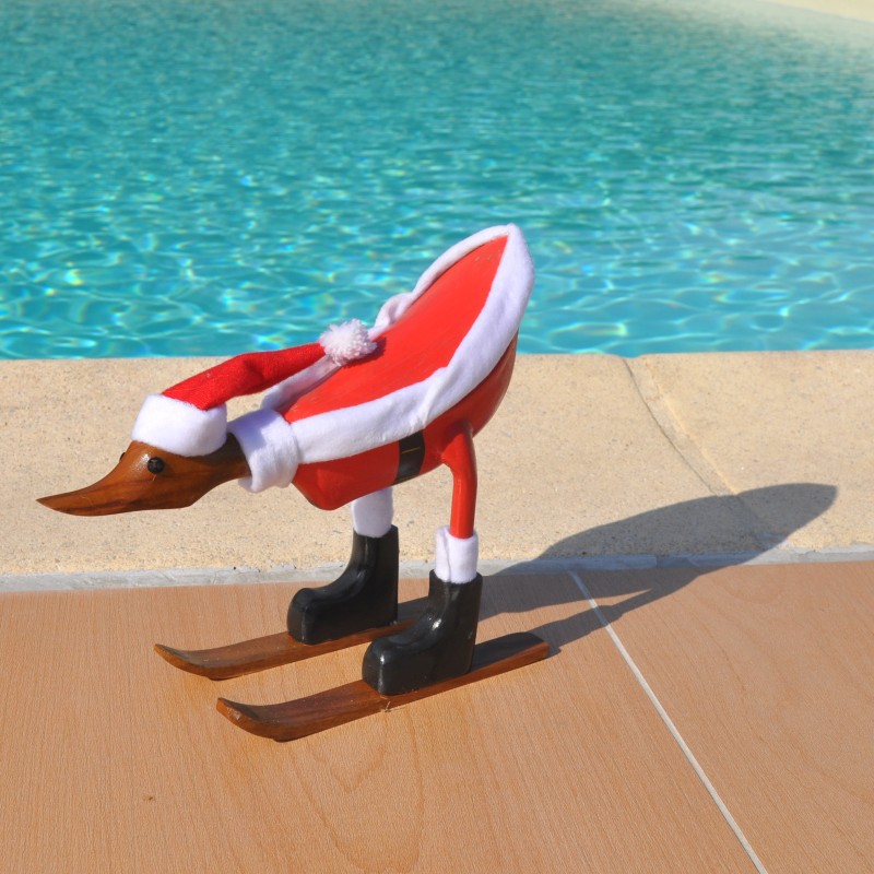 Canard Père Noël en schuss