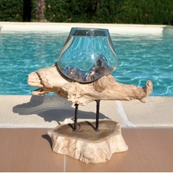 Aquarium en verre recyclé soufflé sur du bois flotté.