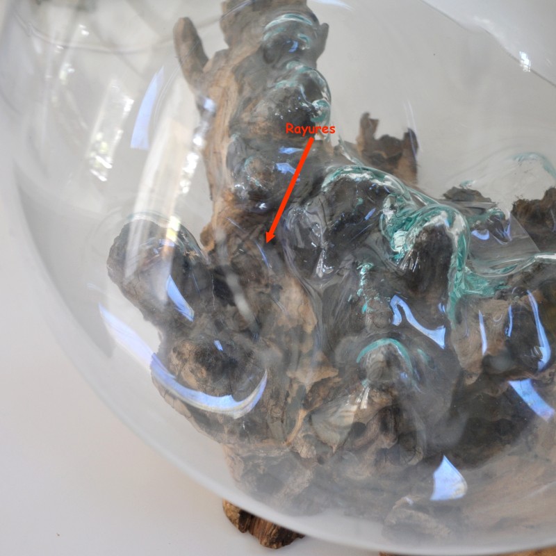 Un splendide aquarium ou bol à punch en verre recyclé soufflé sur du bois flotté.