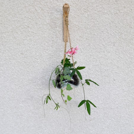Vase à suspendre en verre recyclé soufflé à la bouche en fusion sur du bois flotté, le vase est amovible pour le lavage
