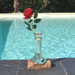 Un soliflore en verre recyclé soufflé en fusion sur du bois flotté et le verre se sort pour le lavage