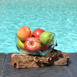 Un terrarium, saladier ou ramequin en verre recyclé soufflé et moulé en fusion sur du bois flotté.