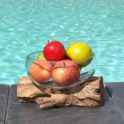 Un terrarium, saladier ou ramequin en verre recyclé soufflé et moulé en fusion sur du bois flotté.