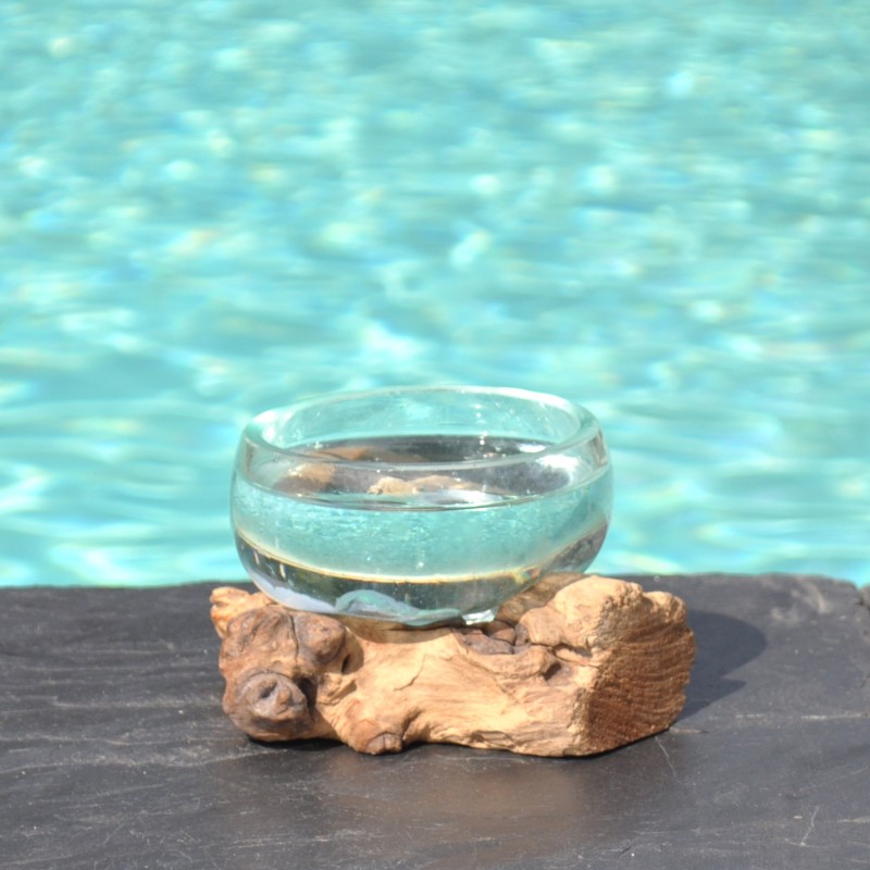 Un terrarium, saladier ou ramequin en verre recyclé soufflé coulé en fusion sur du bois flotté.