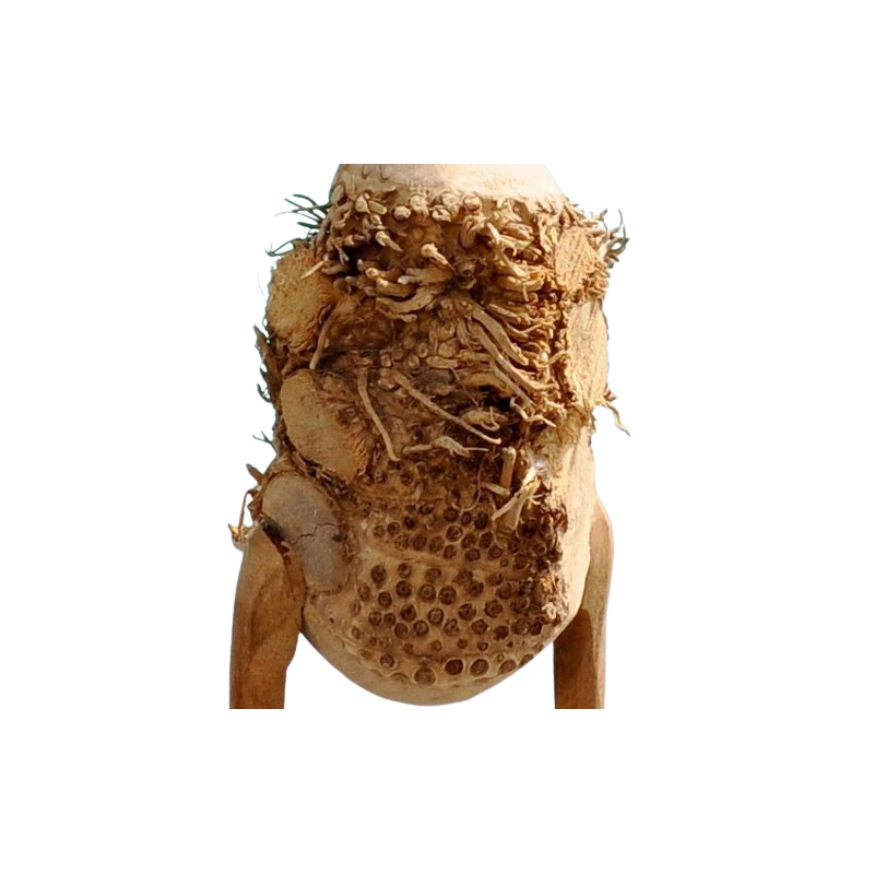 Un grand canard rigolo façon Elvis, fait main en teck et bambou.