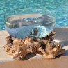 Un terrarium, saladier ou ramequin en verre recyclé soufflé et moulé en fusion sur du bois flotté.