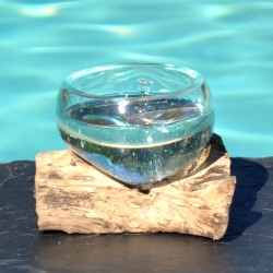 Un terrarium, saladier ou ramequin en verre recyclé soufflé coulé en fusion sur du bois flotté.