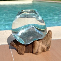 Un petit aquarium ou vase en verre recyclé soufflé sur du bois flotté.