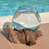 Un petit aquarium en verre recyclé soufflé sur du bois flotté.