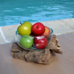 Un terrarium, saladier ou ramequin en verre recyclé soufflé et moulé en fusion sur du bois flotté.