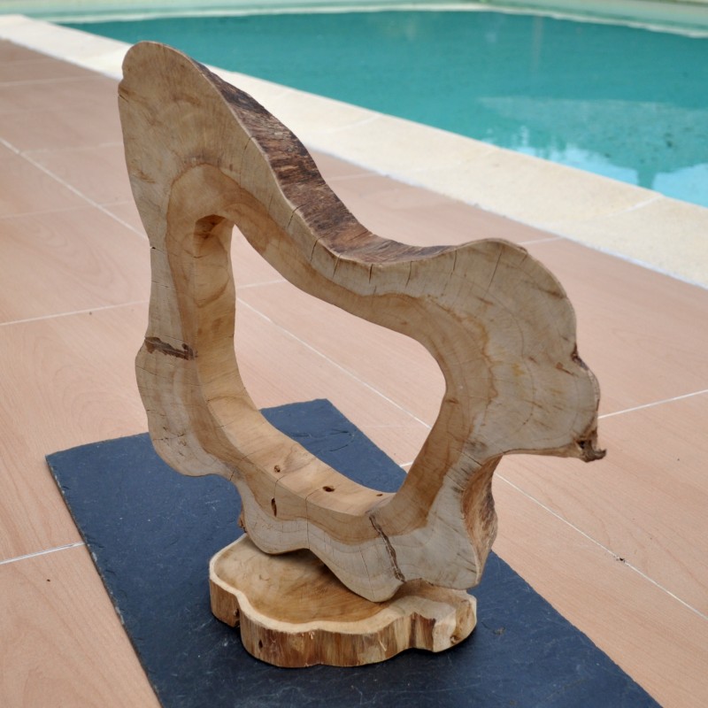 Une merveilleuse sculpture marine naturelle idéal pour faire une lampe
