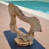 Une merveilleuse sculpture marine naturelle idéal pour faire une lampe