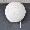 Une merveilleuse sculpture marine naturelle idéal pour faire une lampe