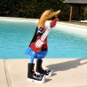 Un canard rigolo en guitariste