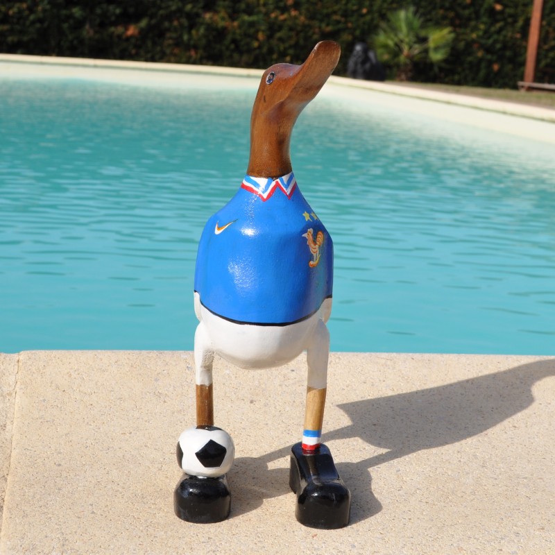 Canard footballer équipe de France