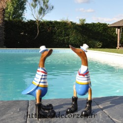 Canard matelot