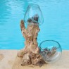 Un vase et un terrarium en verre recyclé soufflé en fusion directement sur du bois flotté, les verres sont amovibles