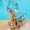 1 vase et un terrarium en verre recyclé soufflé en fusion directement sur du bois flotté, les verres sont amovibles