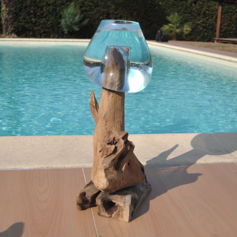 Aquarium ou bol à punch en verre soufflé sur du bois flotté de Jati
