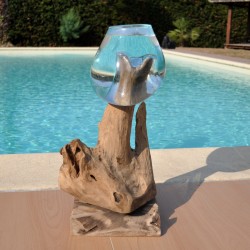 Aquarium ou bol à punch en verre soufflé sur du bois flotté de teck