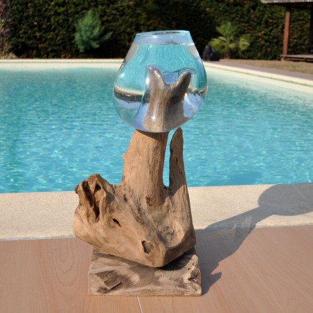 Aquarium ou bol à punch en verre soufflé sur du bois flotté de teck