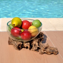 Un saladier ou un terrarium en verre recyclé soufflé à la bouche et en fusion sur du bois flotté.
