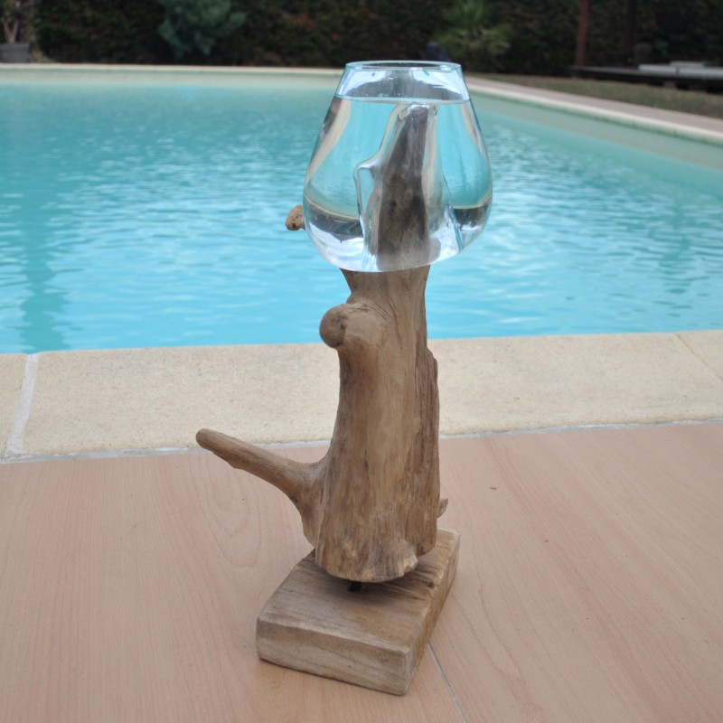 1 aquarium ou bol à punch en verre soufflé sur du bois flotté de Jati
