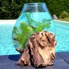 Aquarium ou bol à punch en verre recyclé soufflé sur du bois