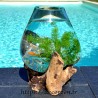 Aquarium ou bol à punch en verre recyclé soufflé et moulé sur du bois, le verre est amovible pour un lavage aisé.