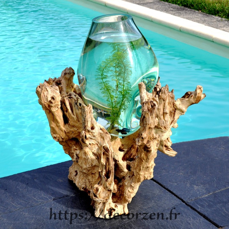 Vase, bol à punch ou aquarium en verre soufflé moulé en fusion sur du bois de teck flotté